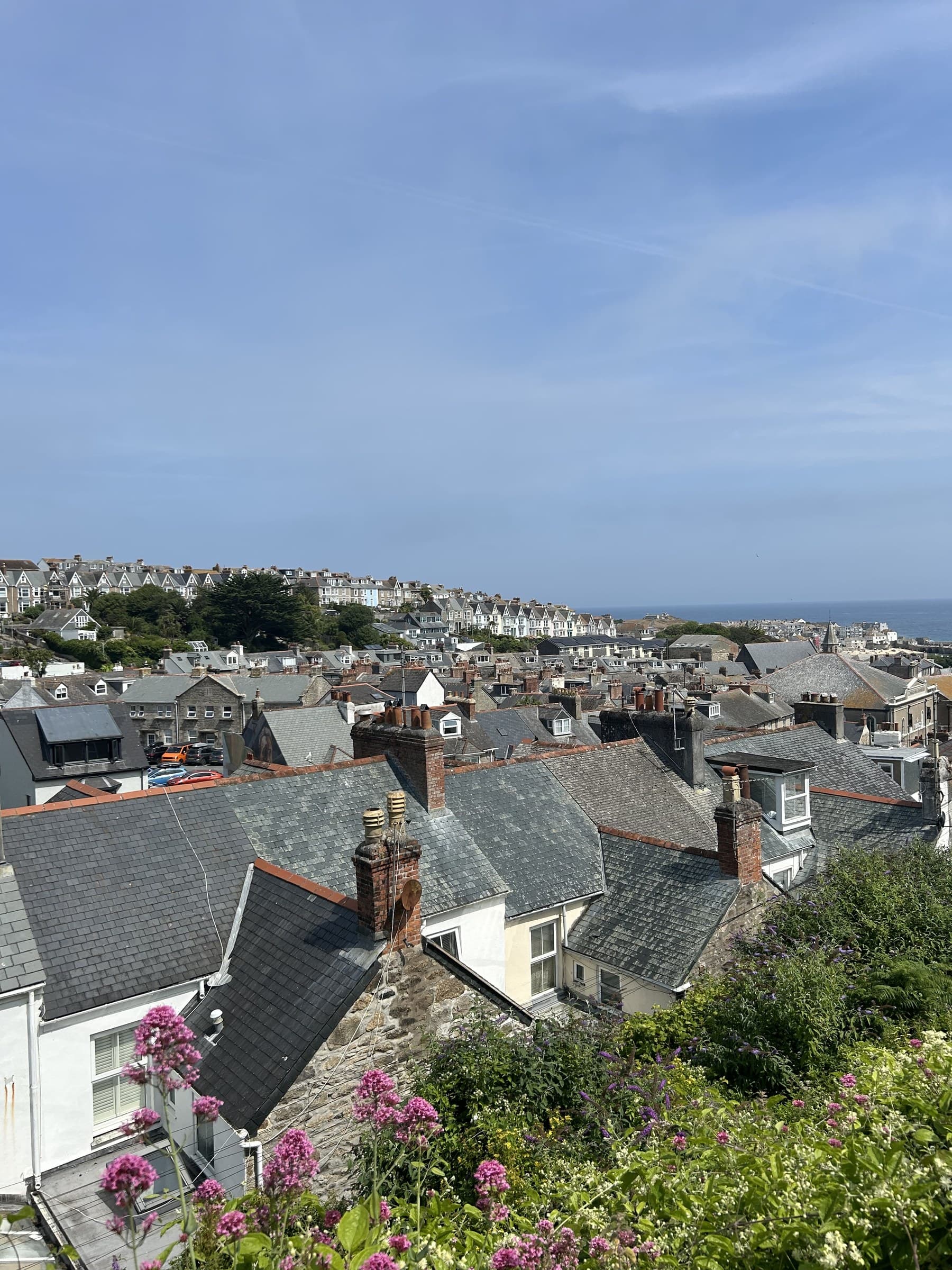 St Ives seen from above its rooftops, slate roofs and chimneys leading down to the sea, flowers in the foreground